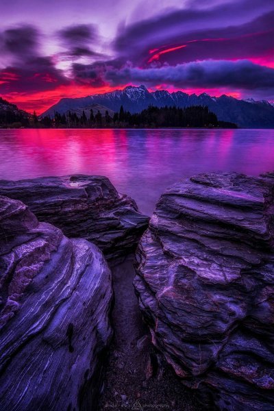 Фиолетовая природа