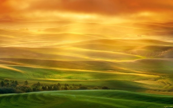 Красивая абстракция природа