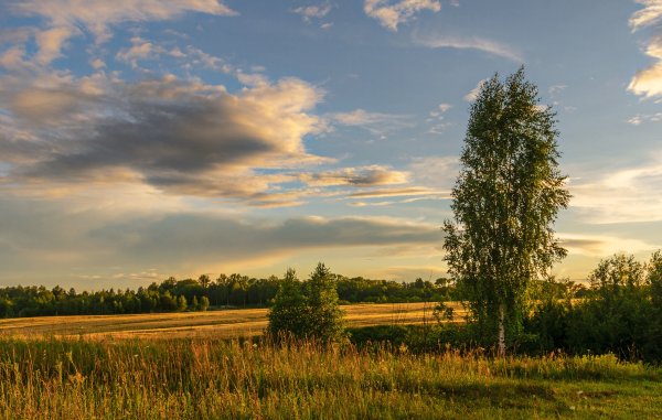 Природа среднего Поволжья