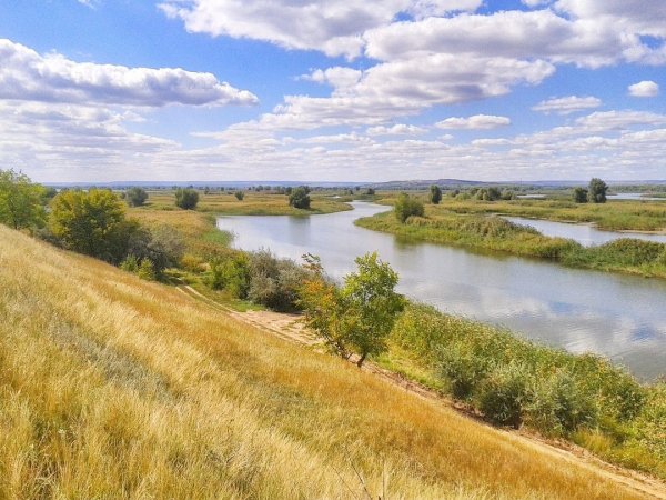 Река Волга Приволжье берег