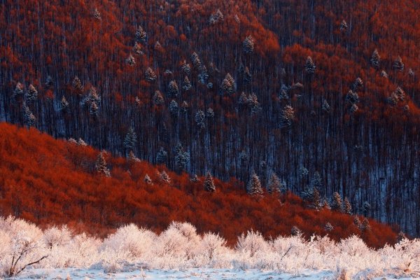 Контрастные фотографии природы