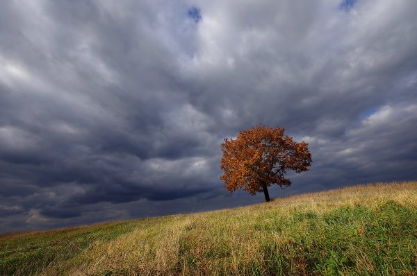 Красивая яркая природа