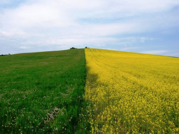 Фотограф пейзажист Марк Адамус