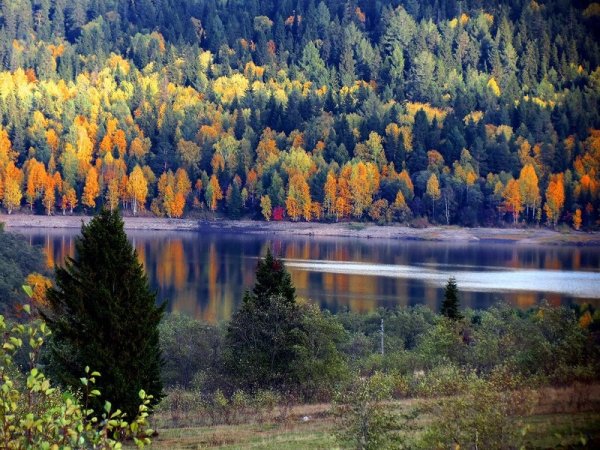 Златоуст природа