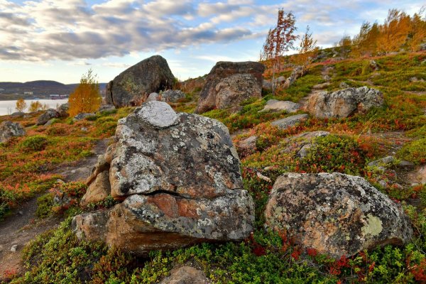 Сопки Мурманск
