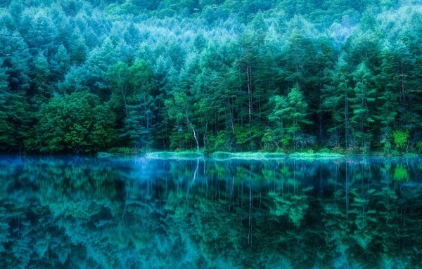 Фотообои увеличивающие пространство
