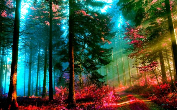 Природа в интерьере