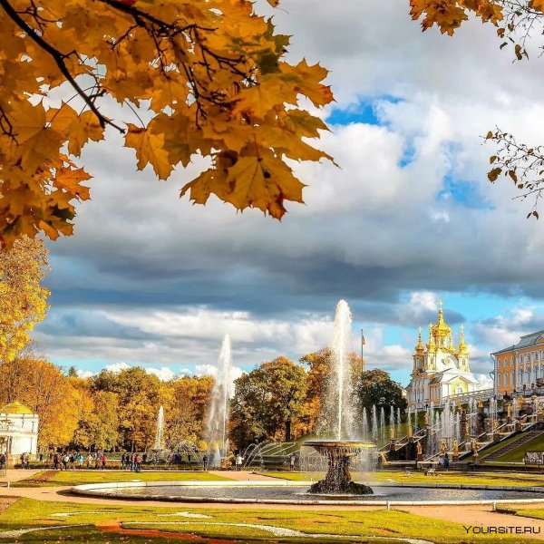 Павловский парк Санкт-Петербург осень