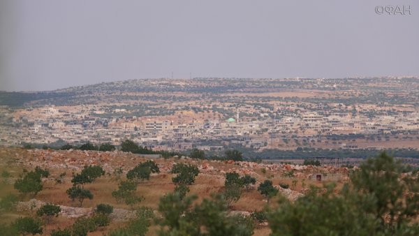 Флора в Сирии
