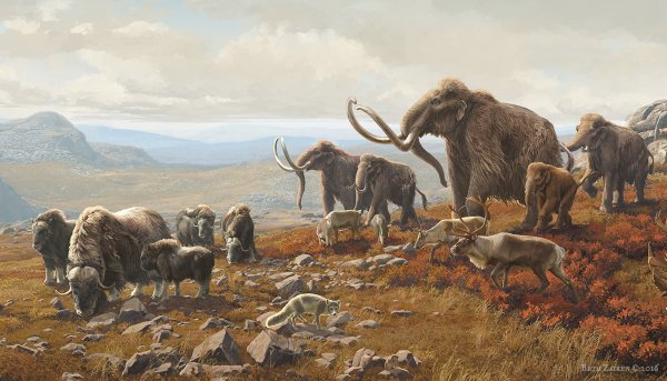 Древние люди - Палеоантропы, неандертальцы