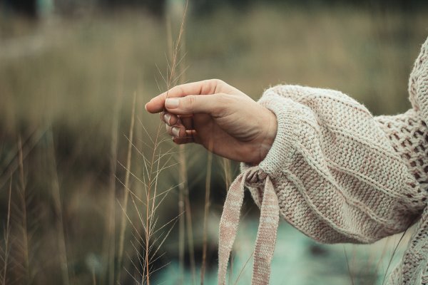 Природа в руках