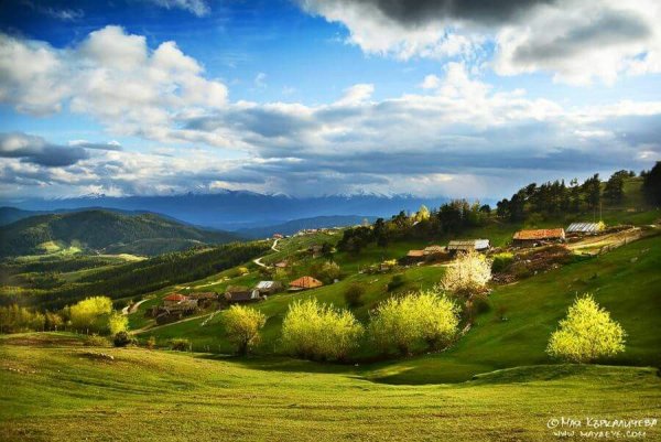 Дунайская равнина в Болгарии