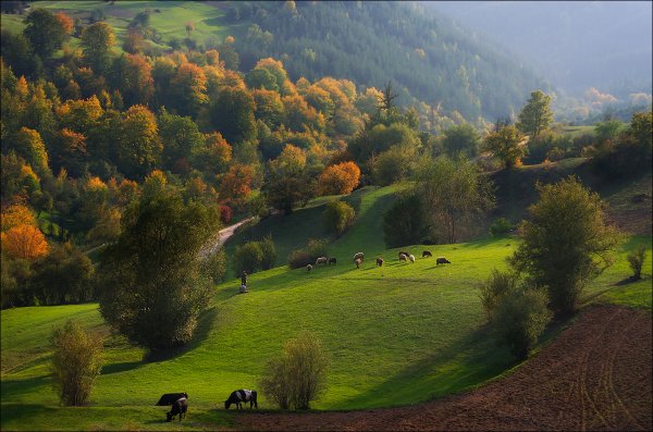 Беркширские холмы