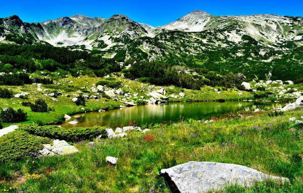 Национальный заповедник Уайт Маунтин