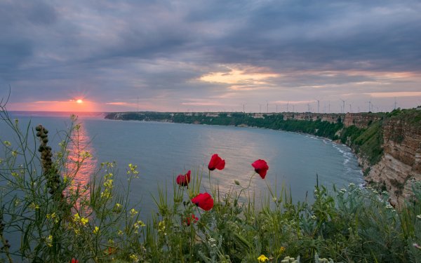 Болгария сарматское море пейзаж