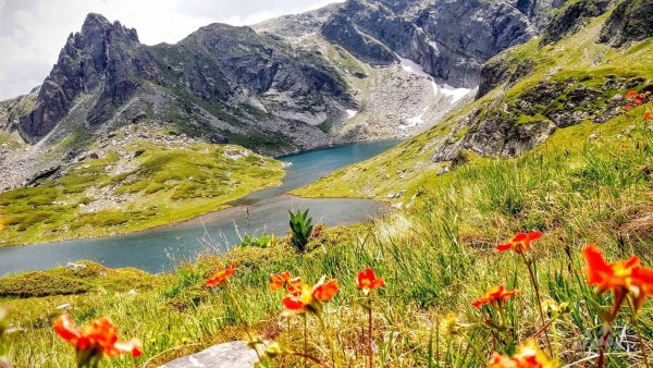 Горы Рила Болгария