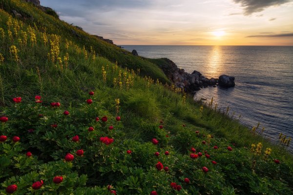 Болгария сарматское море пейзаж