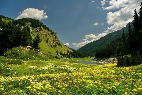 Природный парк Рильского монастыря