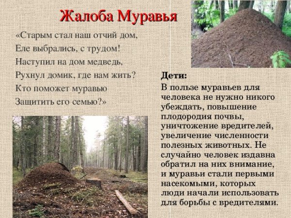 Книга жалоб природы в картинках