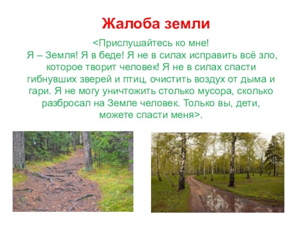 Жалобная книга природы в детском саду