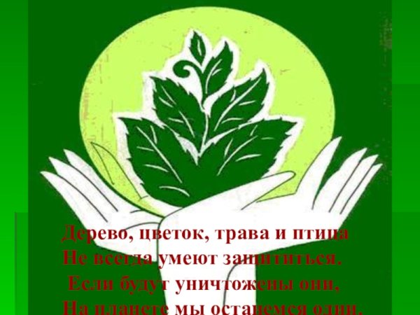 Жалобная книга природы в детском саду