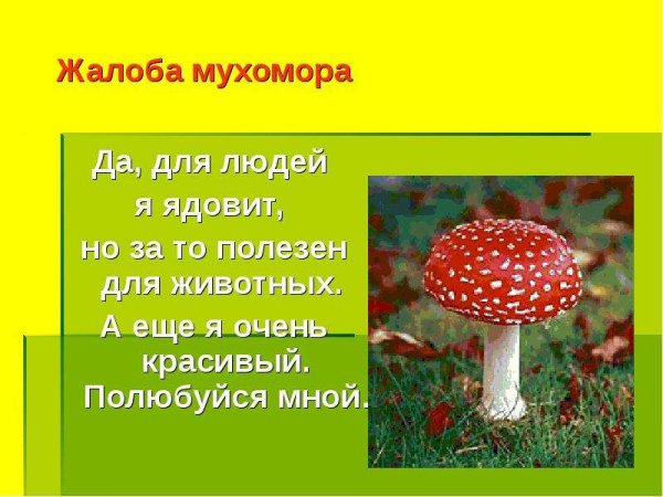 Жалобы от животных