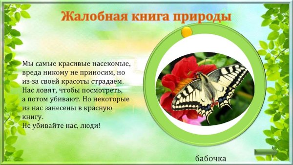 Жалобы от животных