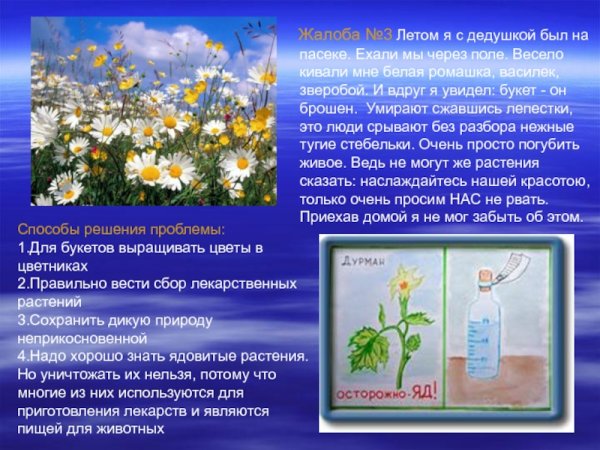 Жалобная книга леса