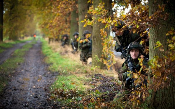 Военная осень
