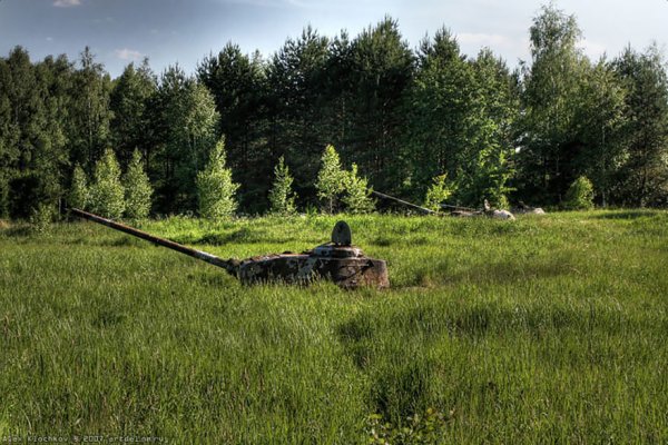 Природа армия