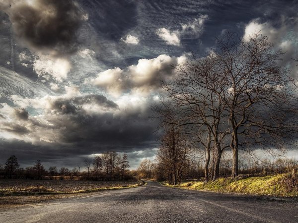 Пасмурная природа