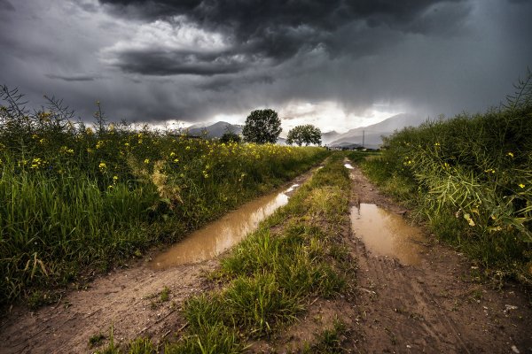Проселочная дорога