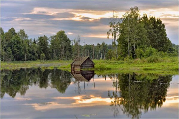 Природа Демидовского района Смоленской области