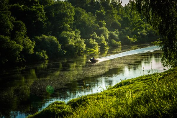 Смоленск природа