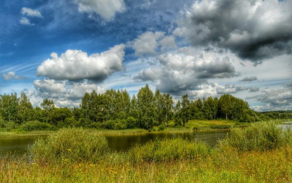 Смоленская обл природа