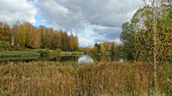 Природа Смоленщины