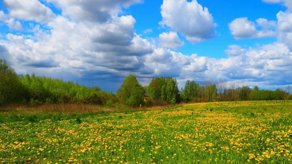Смоленск природа