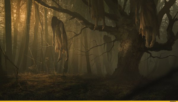 Where the Wild things are фильм