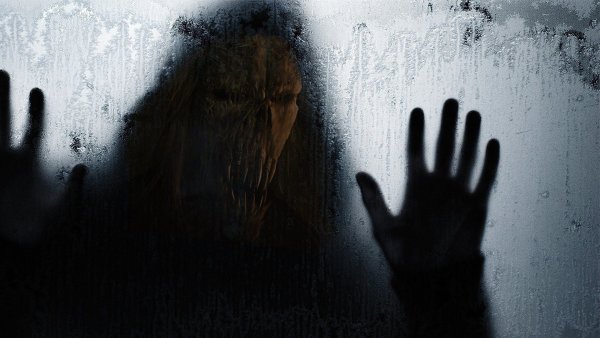 Человек в тумане
