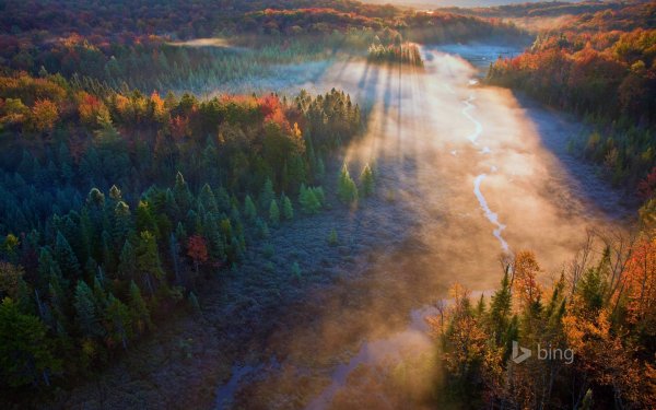 Природа с птичьего полета