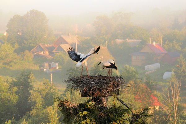 Беларусь природа