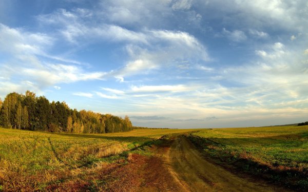 Полевая дорога Тоскана