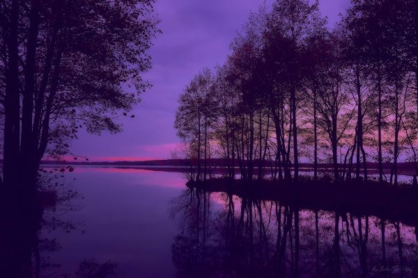 Фиолетовая природа