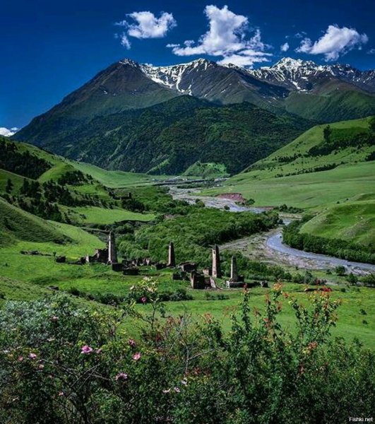 Таргим Ингушетия