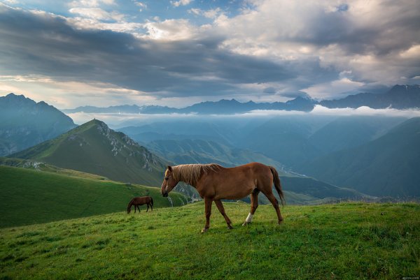 Ингушетия горы Джейрах