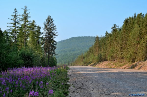 Тайга Иркутск
