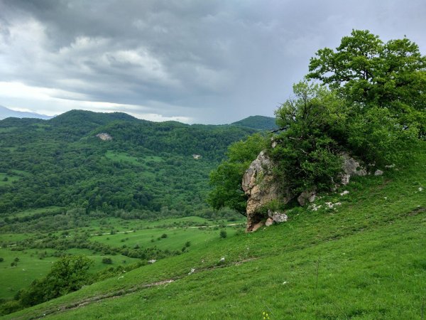 Бетта черное море