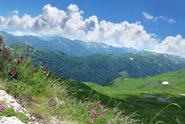 Краснодарский край