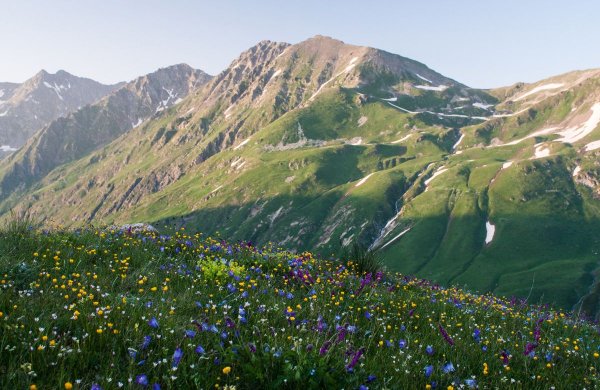 Природа Кубани с лошадьми