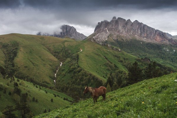 Река Кубань пейзажи Краснодарского края